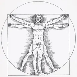 Vitruvian Man